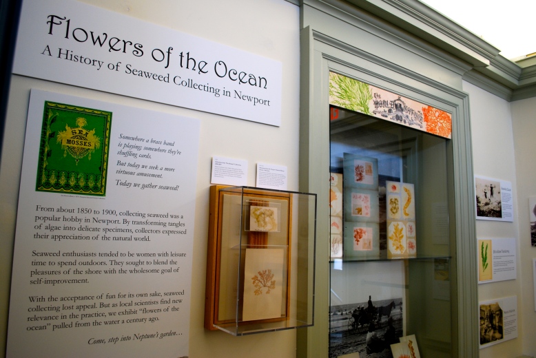 Flowers of the Ocean exhibit at the Museum of Newport History.