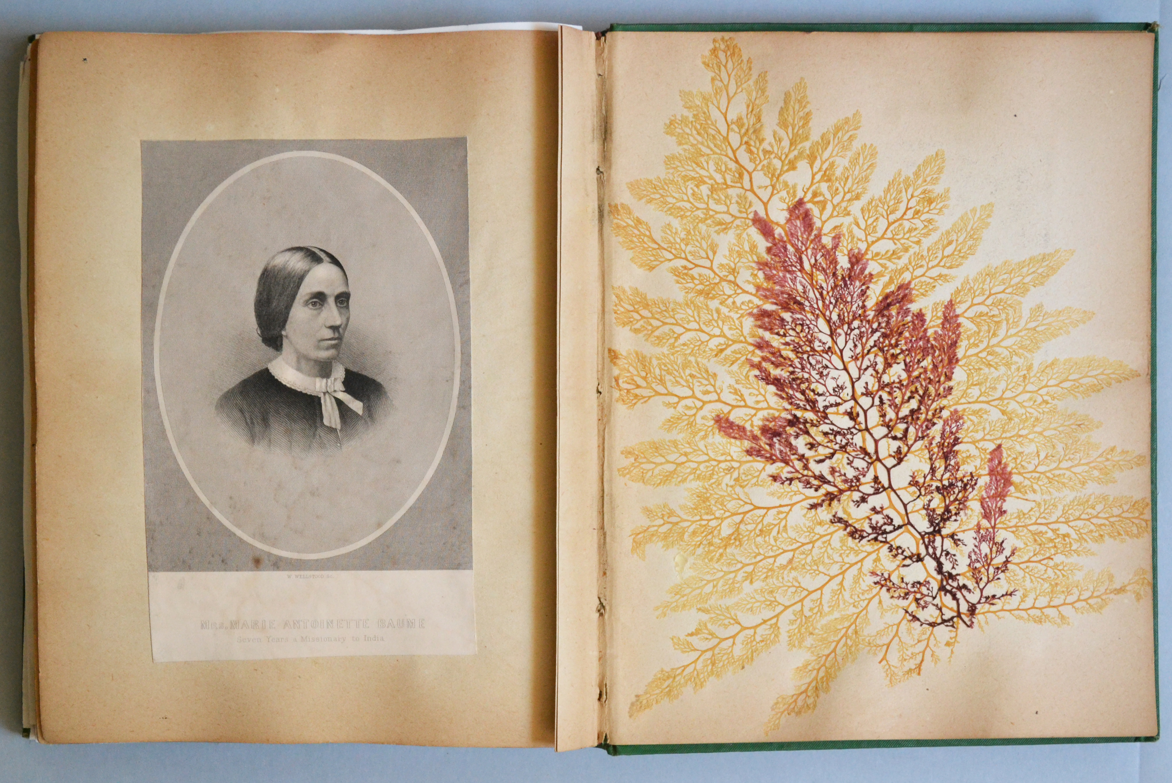 Newport Historical Society Collection