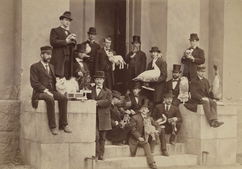 J.W.P. Jenks and his taxidermy students at Brown University, 1875. (John Hay Library and Brown University Archives)